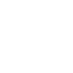 Estructura